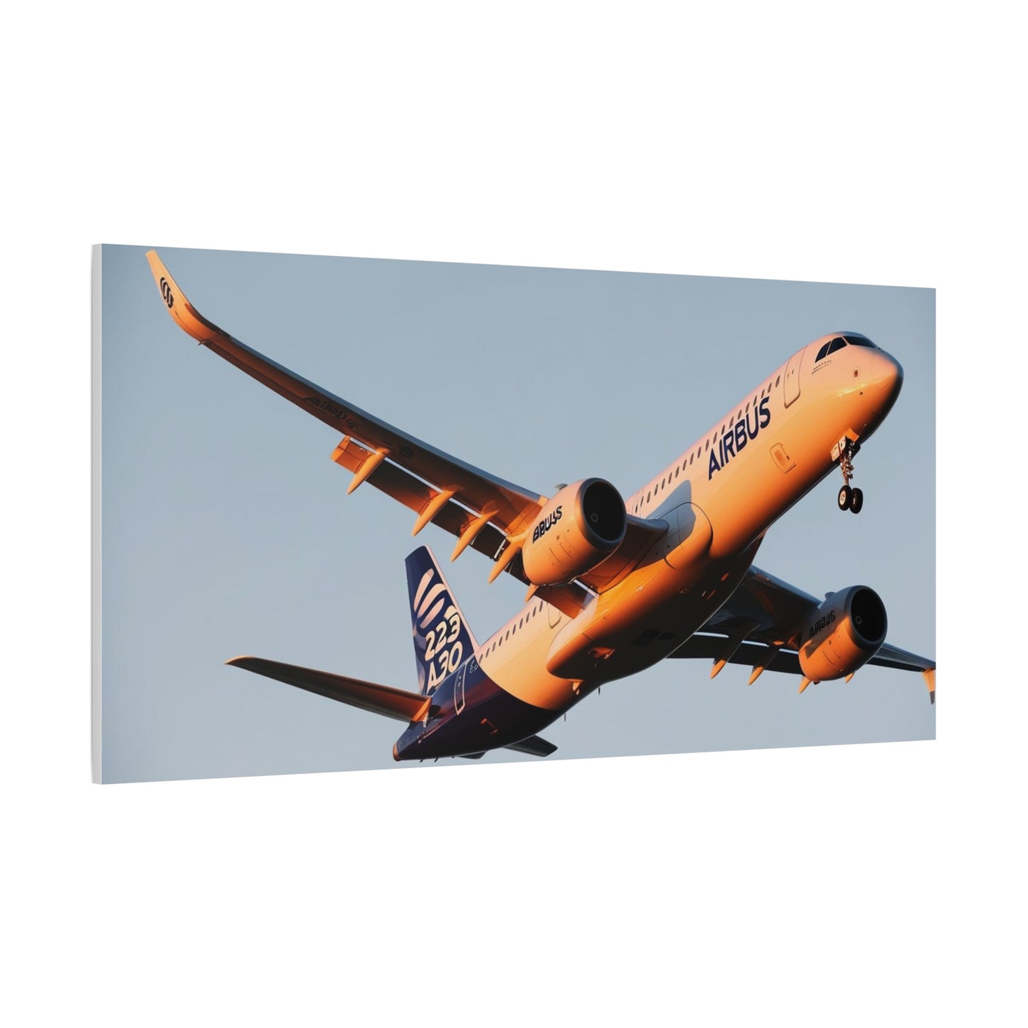 Airbus Aircraft Wall Art Canvas