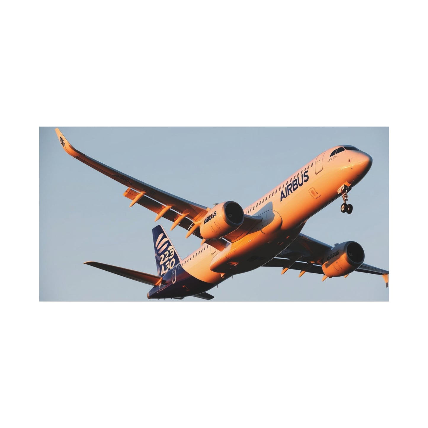 Airbus Aircraft Wall Art Canvas